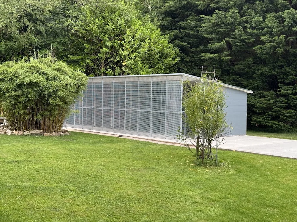 Pawton Stream Cattery - Cornwall pet otel