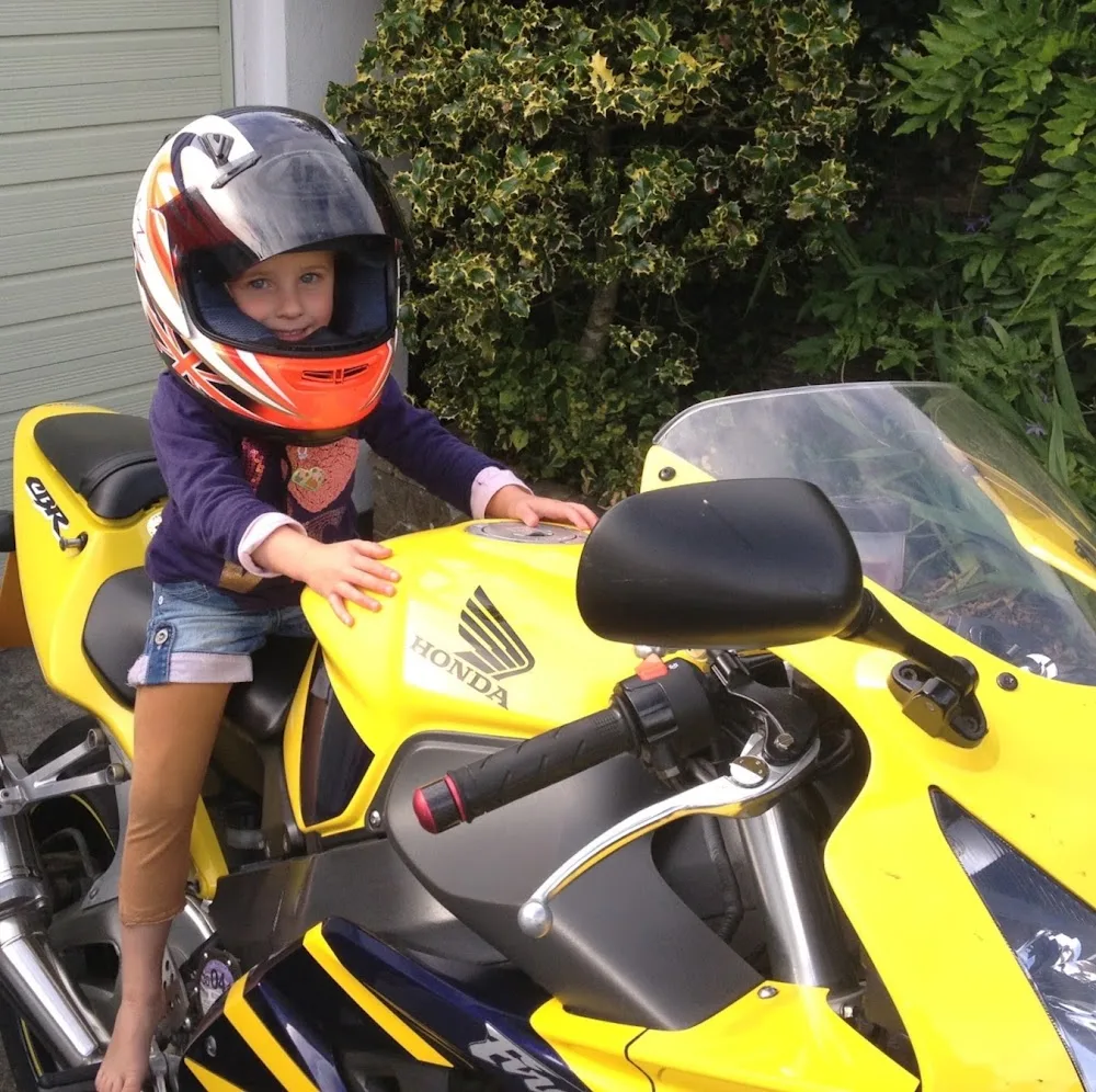 Pawton Stream Cattery - Cornwall pet otel görseli 4