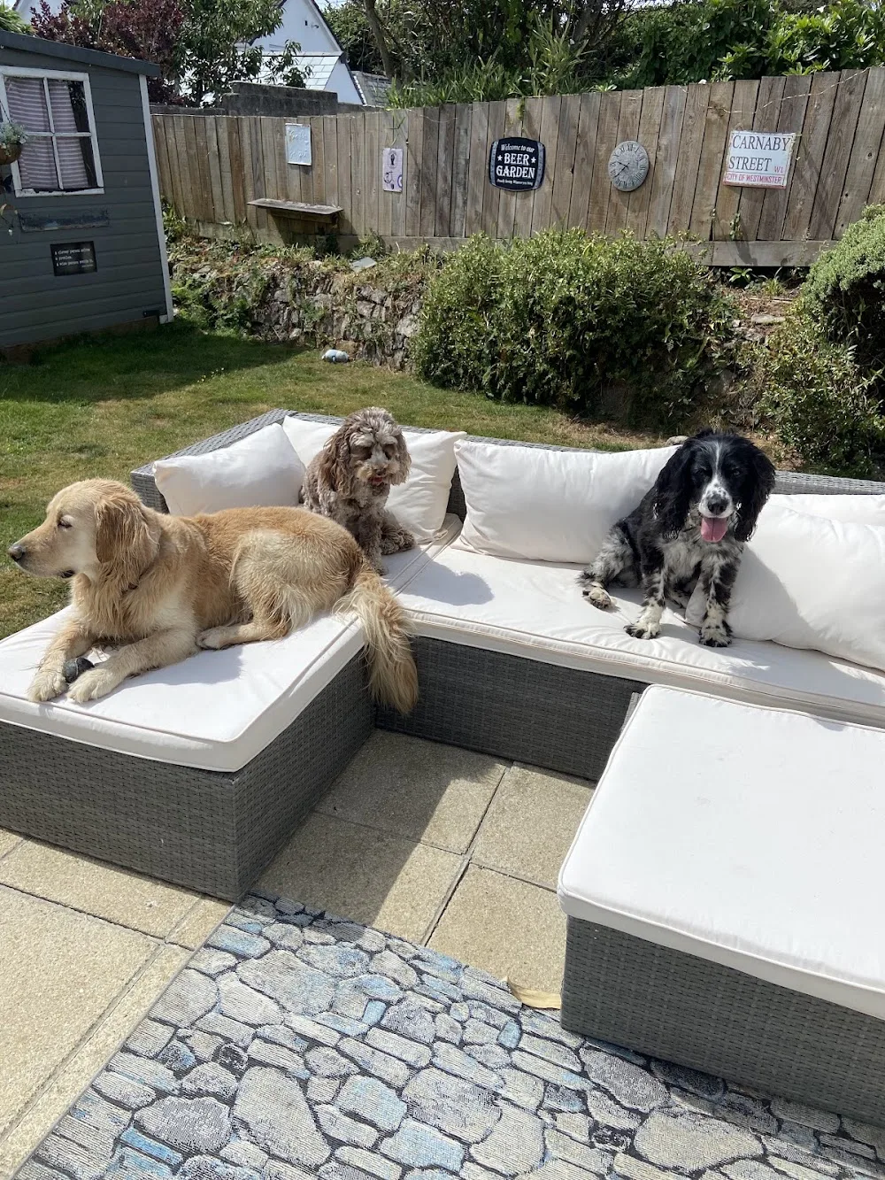Teyluki Cornish Holidays for Dogs - Cornwall pet otel görseli 3