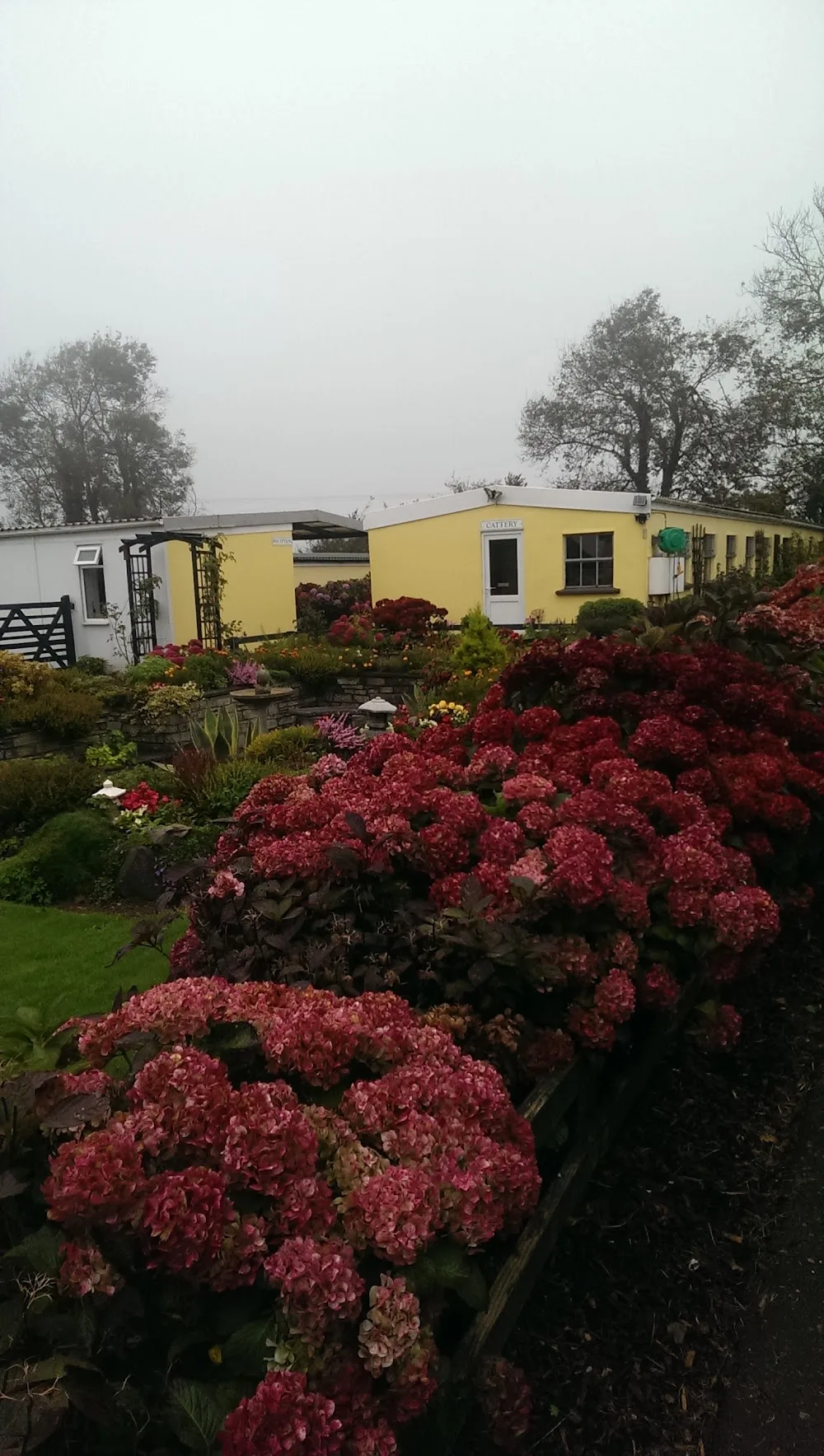 Tri-Acre Kennels & Cattery - 5* Pet Boarding - Cornwall pet otel