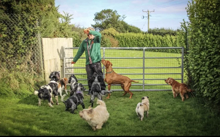 Yeovale Kennels - Cornwall pet otel görseli 2