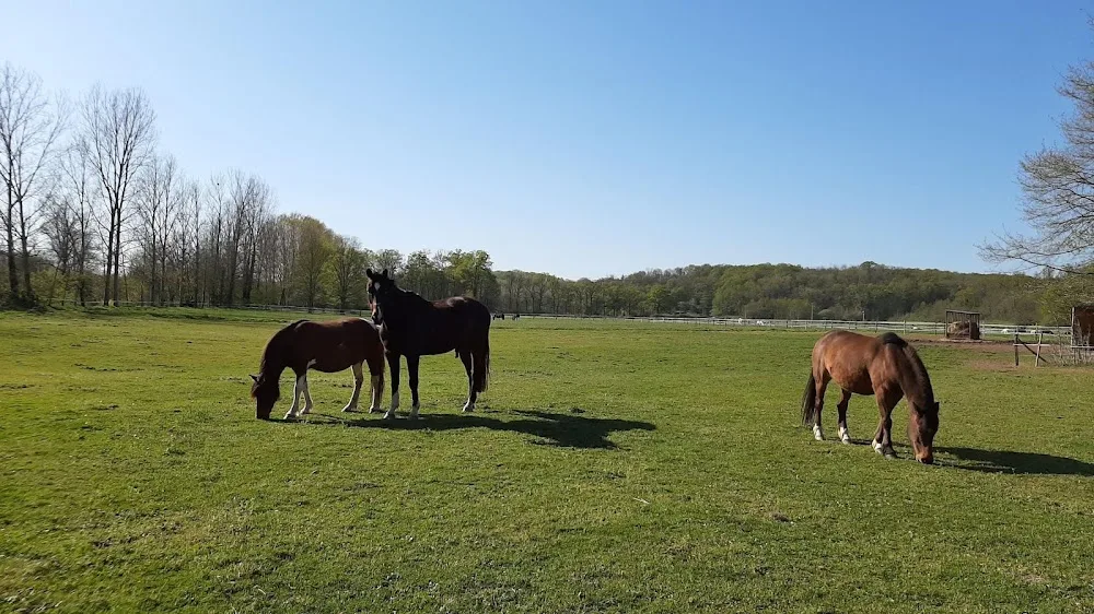 Pension de la Licorne - Corrèze pet otel görseli 2