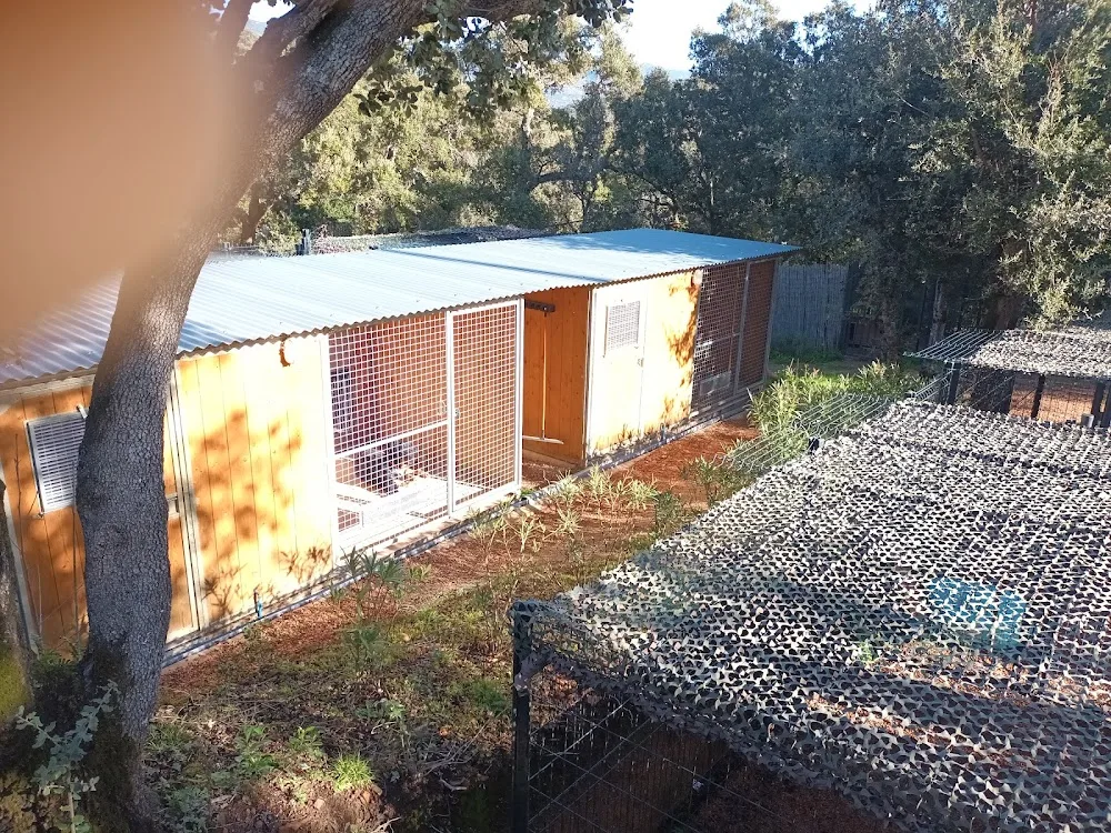 Calli-Canin - Corse pet otel