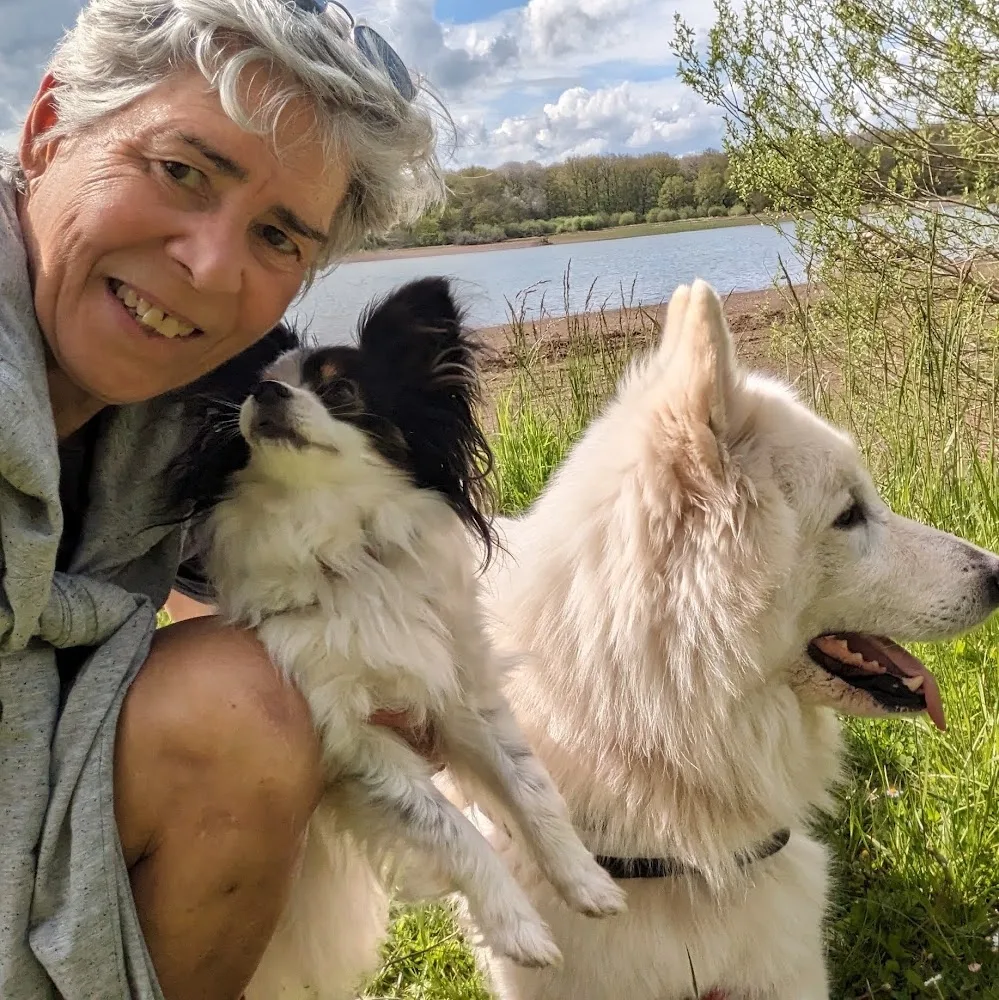 Pension, éducation canine, toilettage - Cargese - Corse pet otel görseli 5