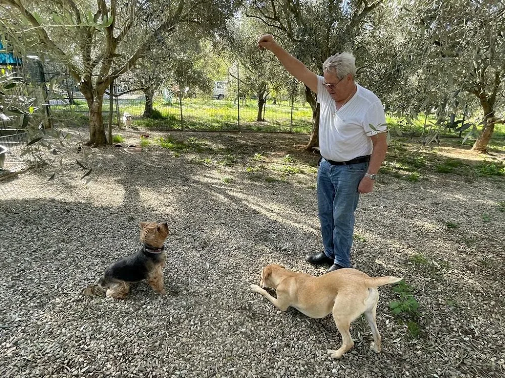 Pension les Aristos chiens et chats - Corse pet otel