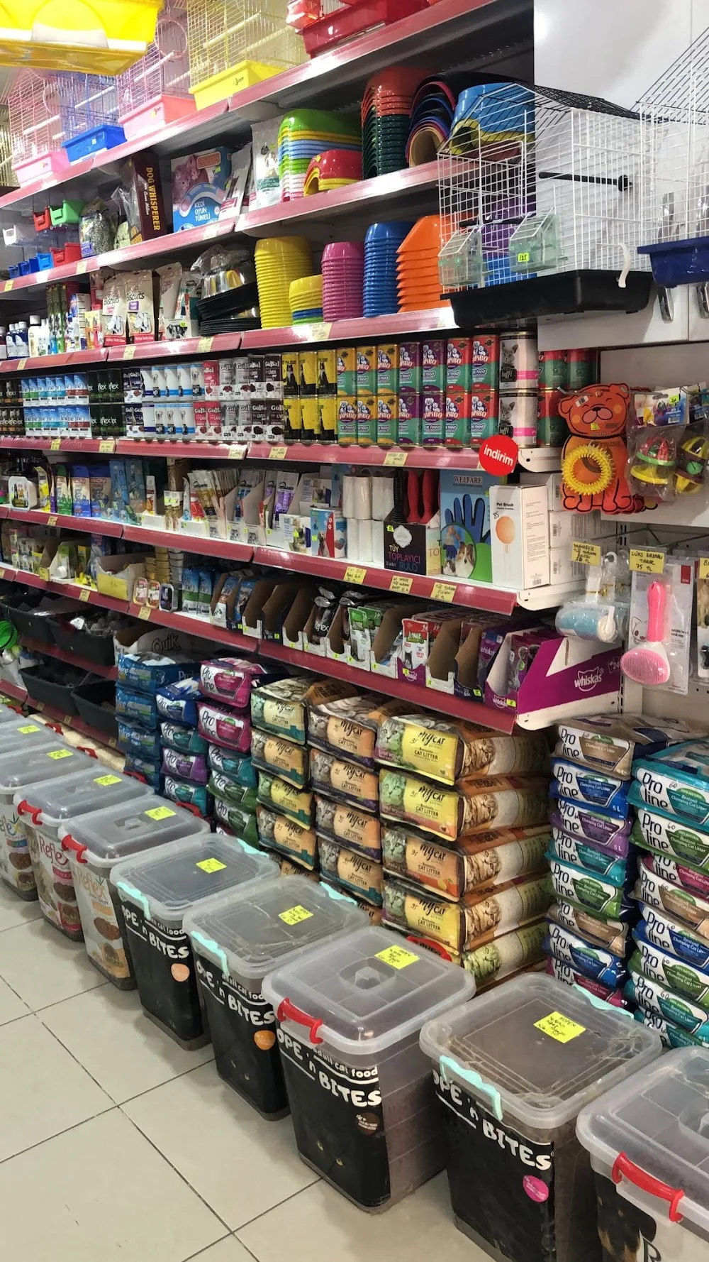 Çorum Miya Patili Köşk Petshop, Pet Kuaför, Pet Otel - Çorum pet otel görseli 3