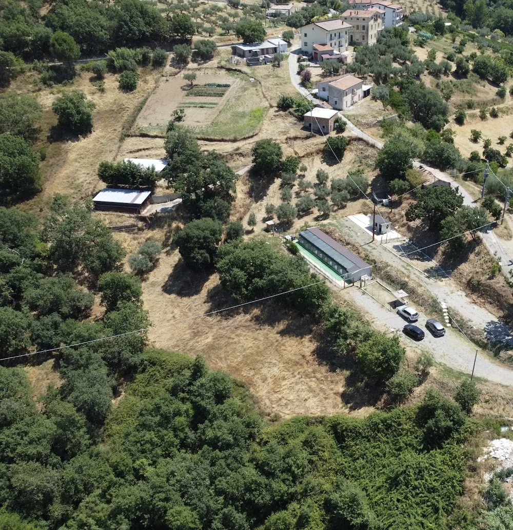 Bull Farm Dog House Cosenza - Cosenza pet otel