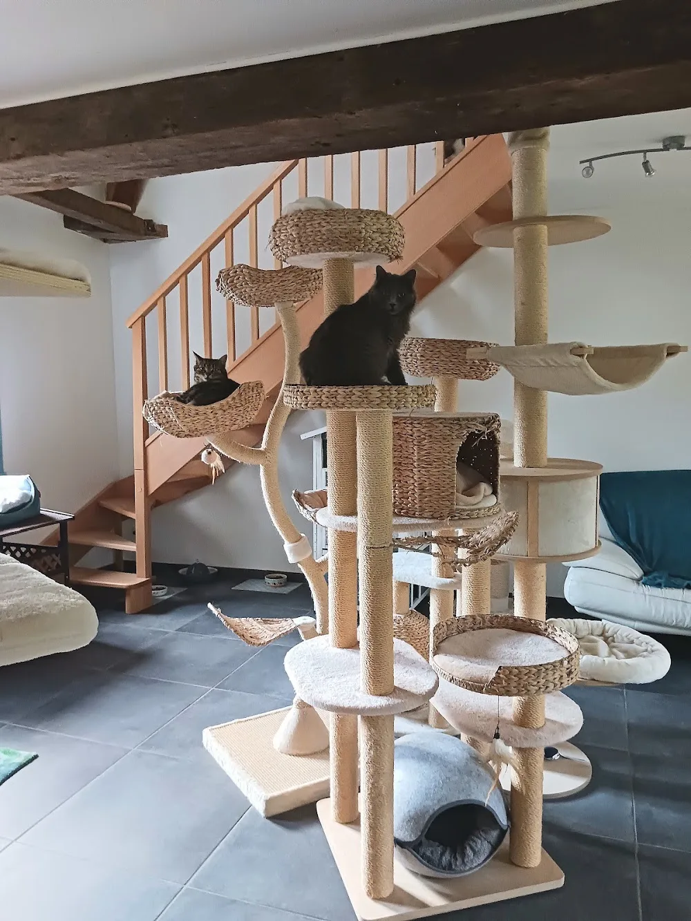 Animallys - Côte-d'Or pet otel