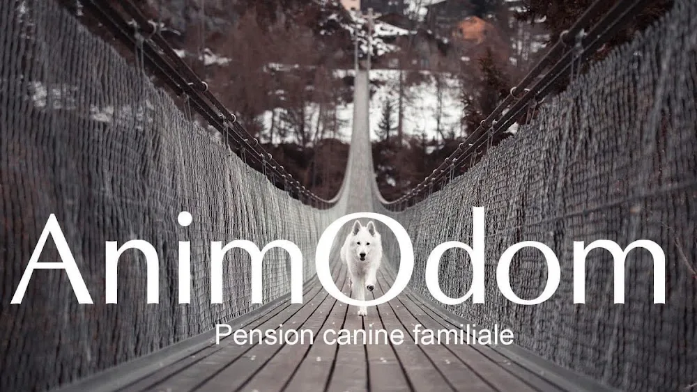 Animodom Services / Elevage des terres de Noé - Côte-d'Or pet otel