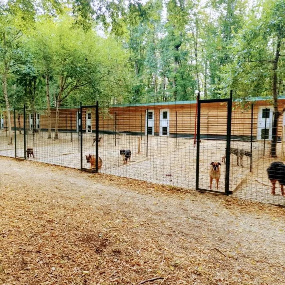 Auberge des Mille et une Truffes - Côte-d'Or pet otel