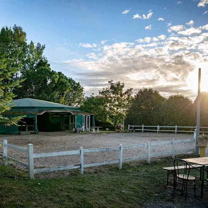 Ecurie de Grosbois pension chien chat chevaux - Côte-d'Or pet otel