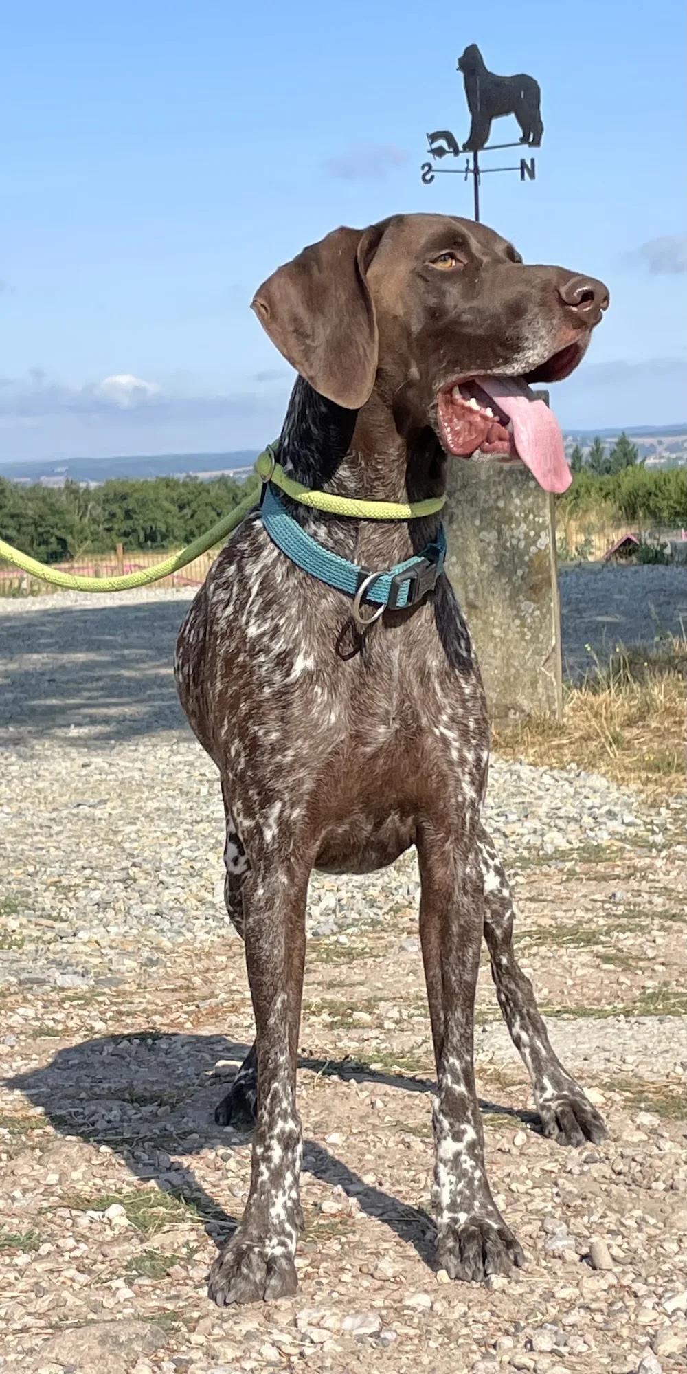 ESPRIT OUKAYA, Pension Canine & Toilettage - Côte-d'Or pet otel