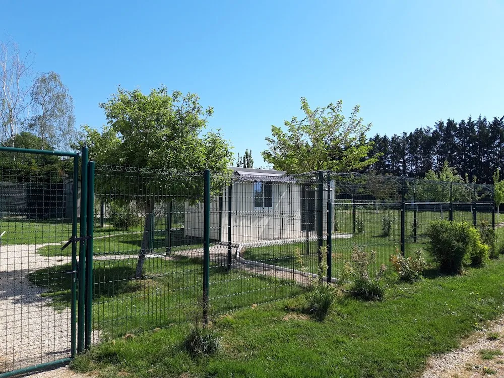 Pension chiens "Au Chemin des 4 Pattes" en Côte d'Or 21 - Côte-d'Or pet otel görseli 2
