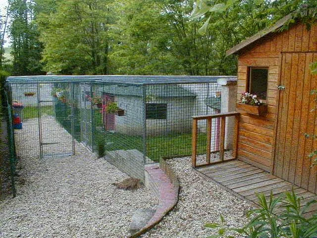 PENSION CHIENS CHATS DE "LA MONTAGNE CHARRON - LE CHENIL DE LA FEE" - Côte-d'Or pet otel görseli 2