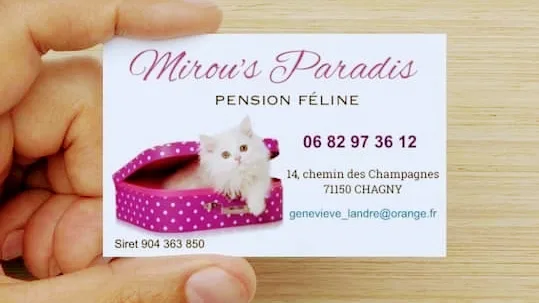 Pension MIROU’S Paradis /Toilettage Mirou's C'ouaf /Elevage Persan - Côte-d'Or pet otel görseli 2