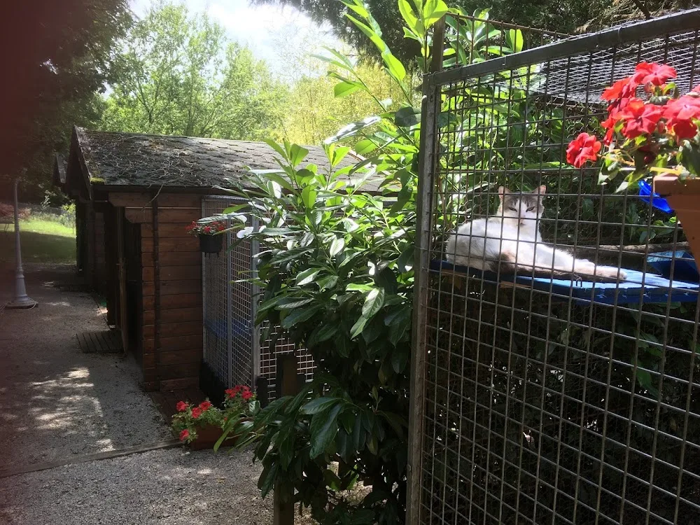 PENSION POUR CHATS DU VAL DE VERGY - Côte-d'Or pet otel
