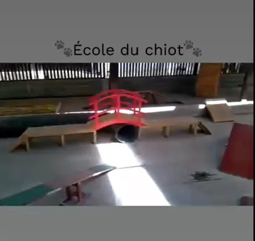 Le Royaume du Phoenix - Côtes-d'Armor pet otel görseli 3