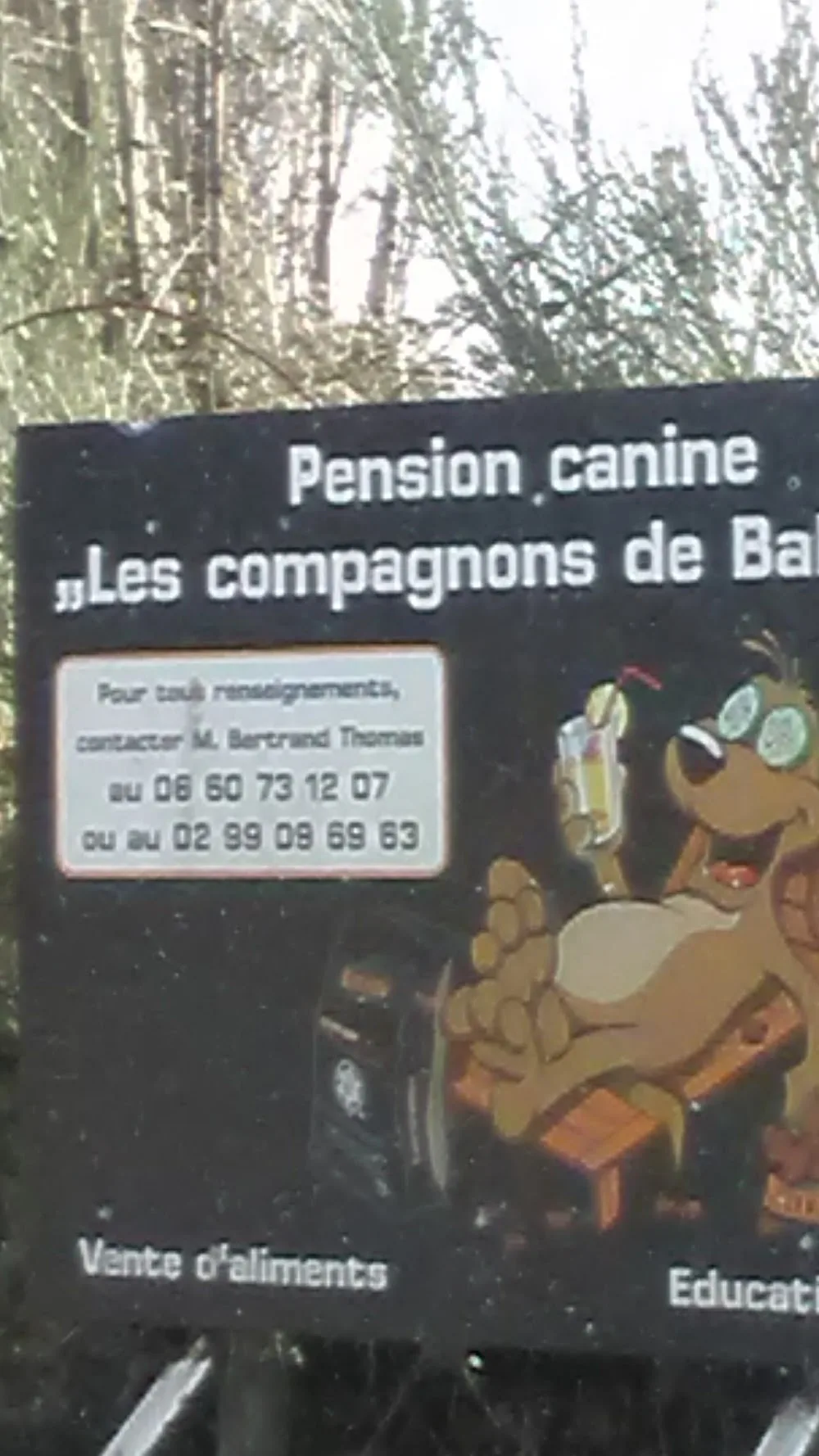 Pension canine Les Compagnons de Balthus - Côtes-d'Armor pet otel görseli 7