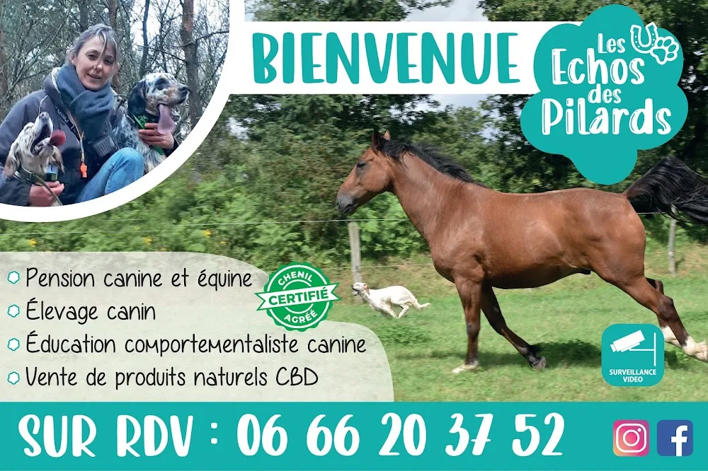 Pension Education Les Echos des Pilards - Côtes-d'Armor pet otel görseli 3