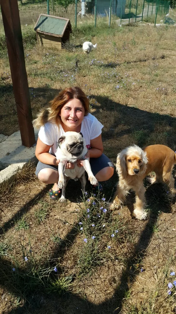 Country Dog Köpek Oteli - Kocaeli pet otel görseli 3