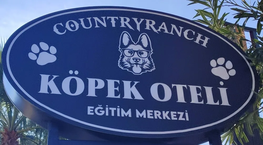 Countryranch Bodrum Kedi-Köpek Oteli ve Köpek Eğitim Merkezi - Muğla pet otel görseli 2