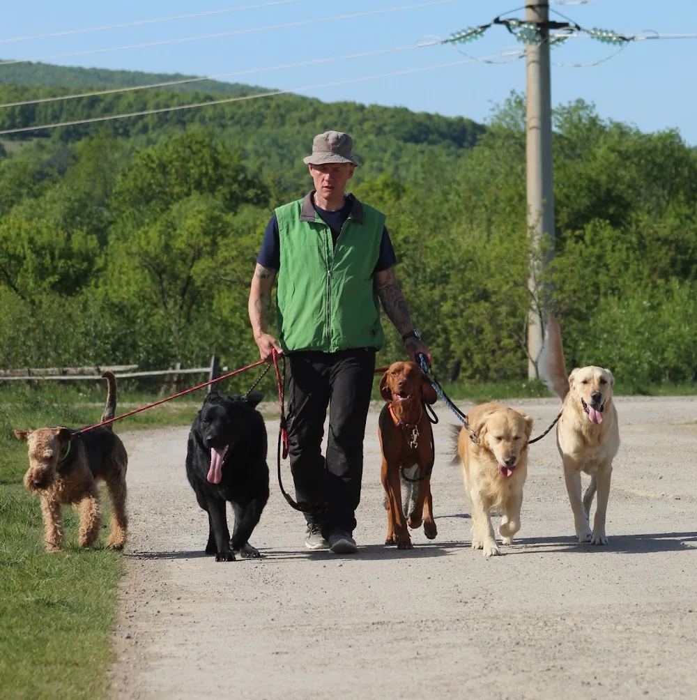 Béres Dog's Hotel srl - Covasna pet otel