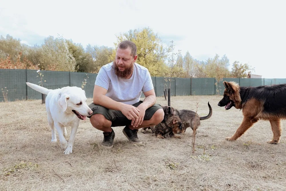 Slapaj Pet Resort - Covasna pet otel