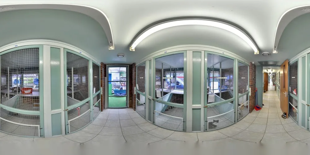 Corley Rocks Cattery & Grooming Parlour - Coventry pet otel görseli 3