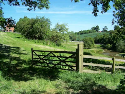 Harvest Hill Kennels - Coventry pet otel