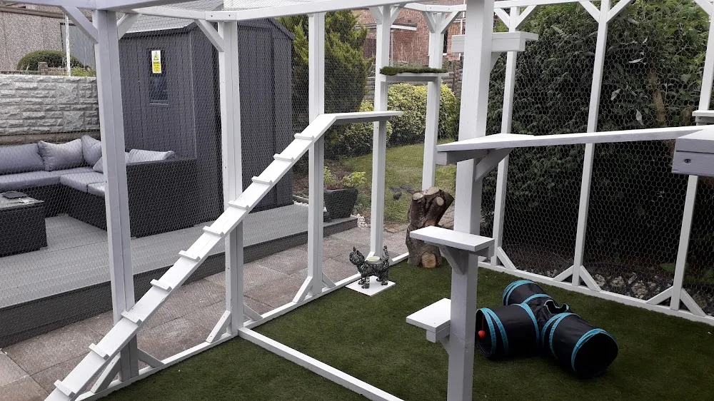 The cat gaff hotel - Coventry pet otel görseli 2