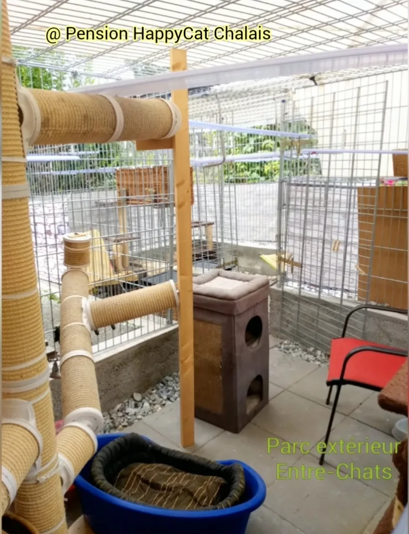 Pension HappyCat - Chalais - Crans VS pet otel