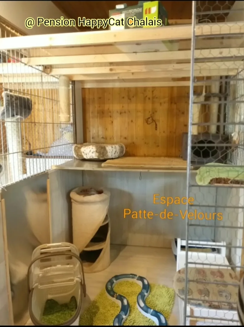 Pension HappyCat - Chalais - Crans VS pet otel görseli 3