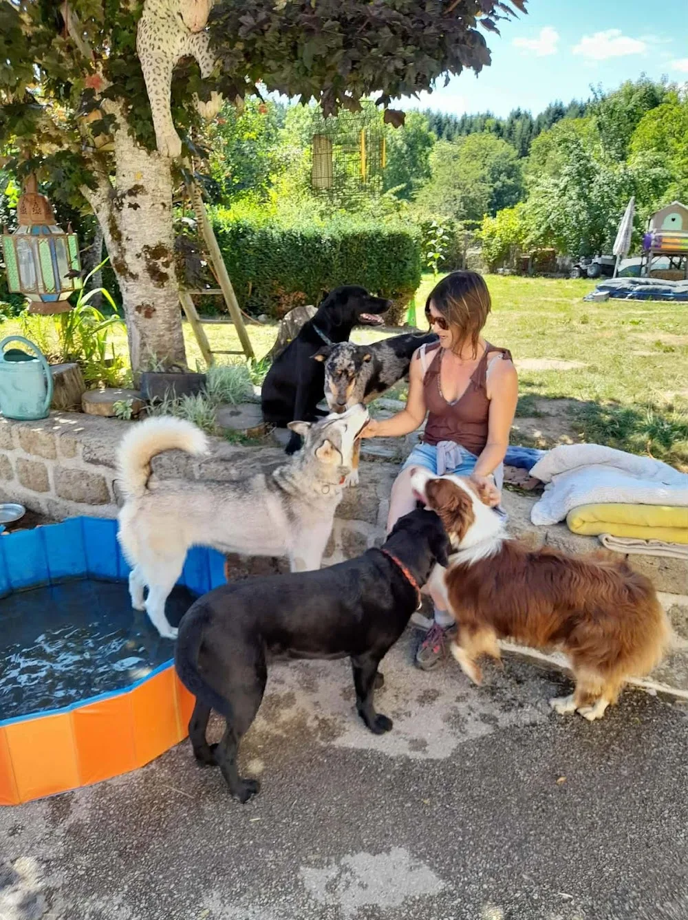 1000Cani - Creuse pet otel görseli 2