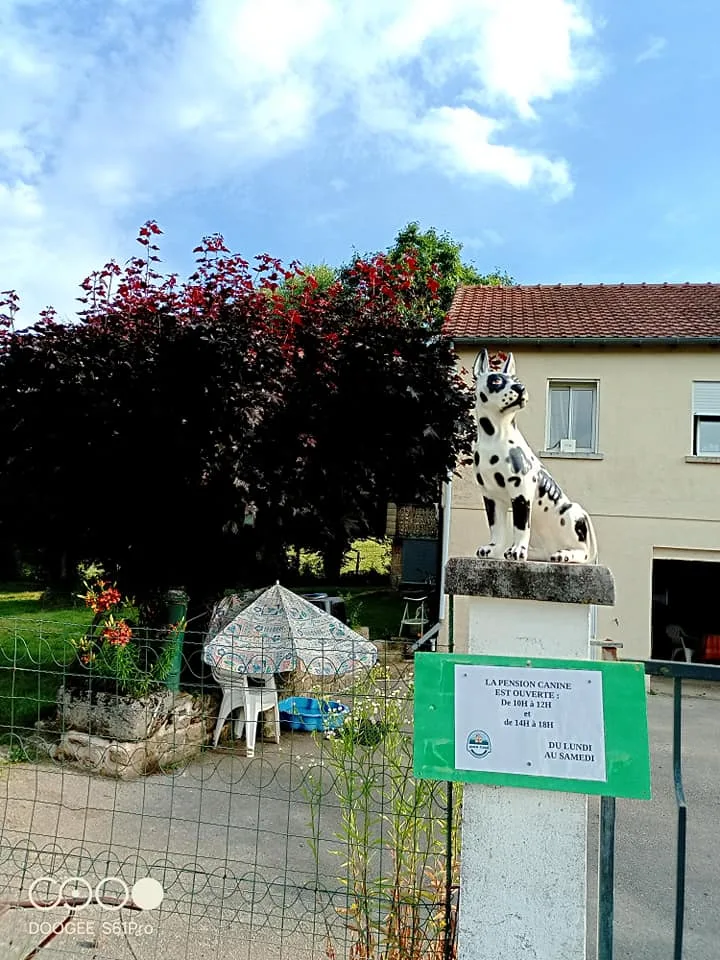 1000Cani - Creuse pet otel görseli 3
