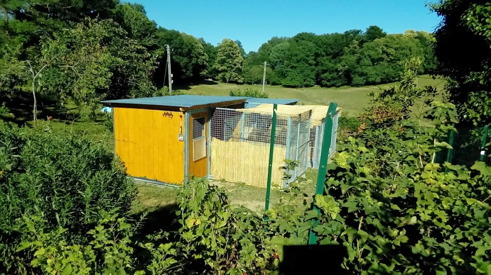 Babine Pension - Creuse pet otel görseli 3