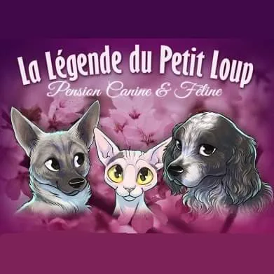La Legende Du Petit Loup - Creuse pet otel