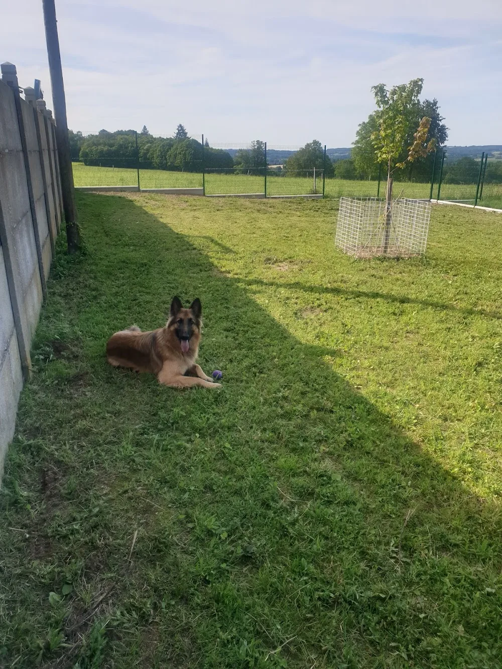 La Legende Du Petit Loup - Creuse pet otel görseli 3