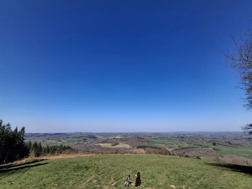La Vie à la Campagne - Creuse pet otel görseli 2