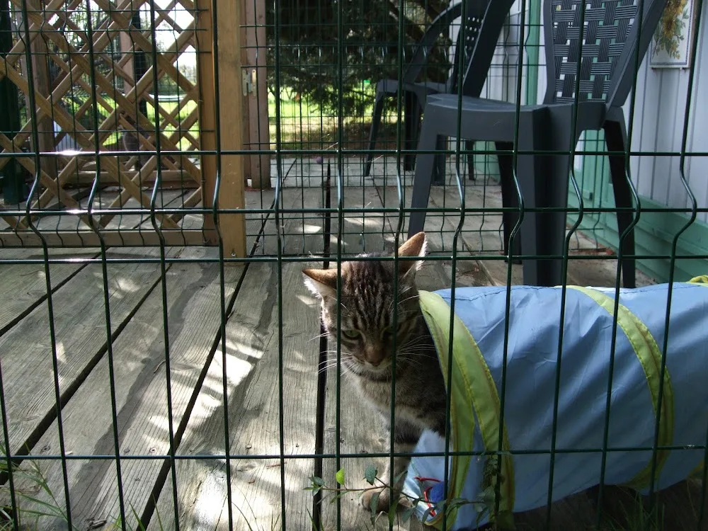 Utopia garde d’animaux 23 - Creuse pet otel görseli 3
