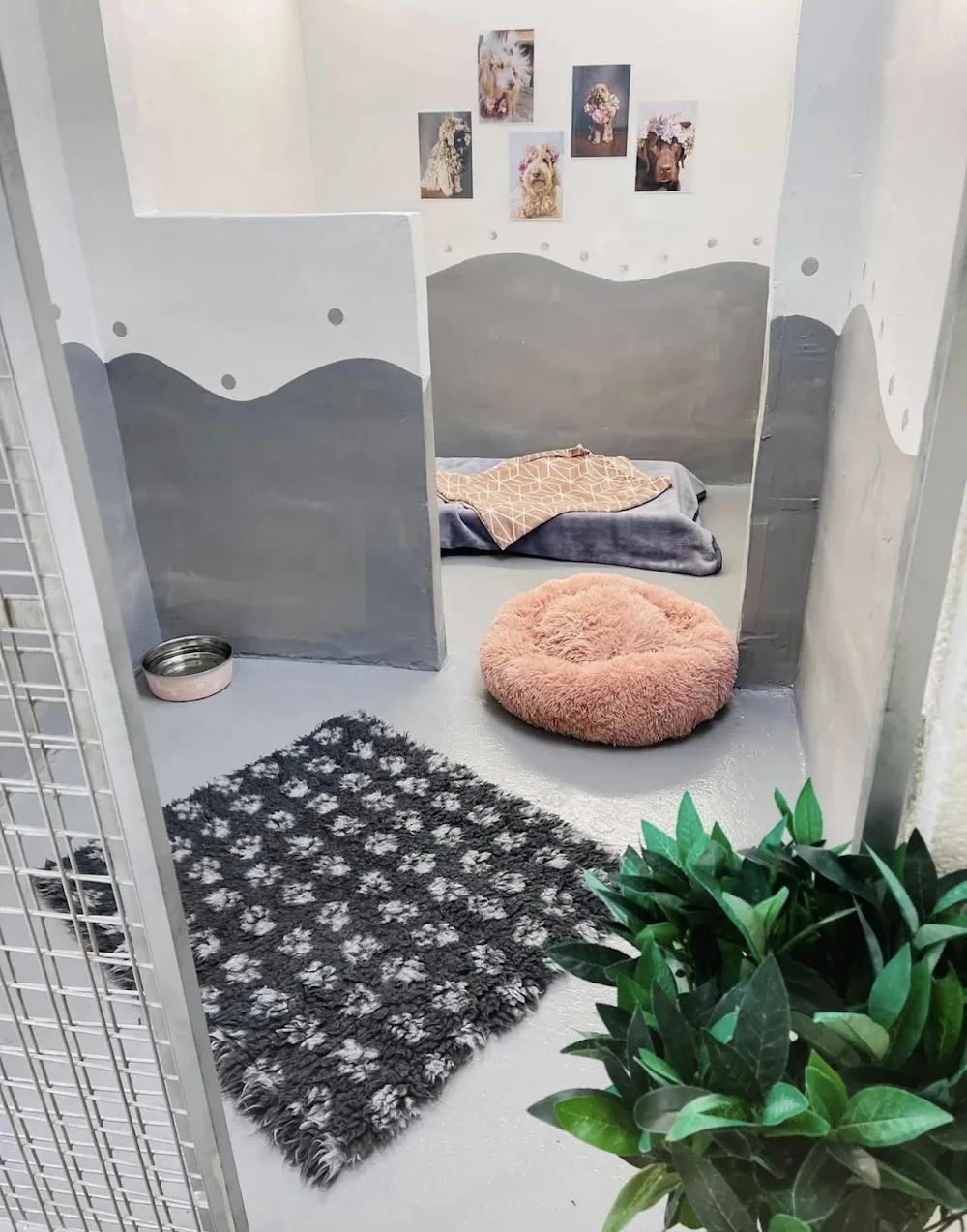 Allisons Kennels - Crosby Ravensworth pet otel görseli 3