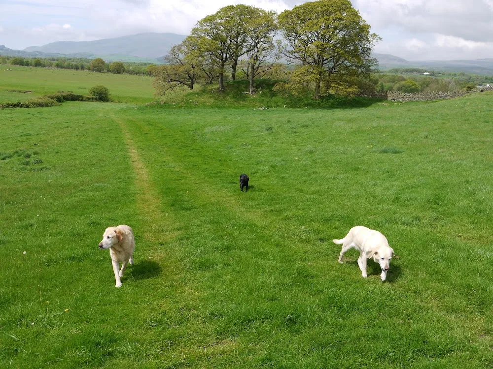 Bank End Boarding Kennels - Crosby Ravensworth pet otel