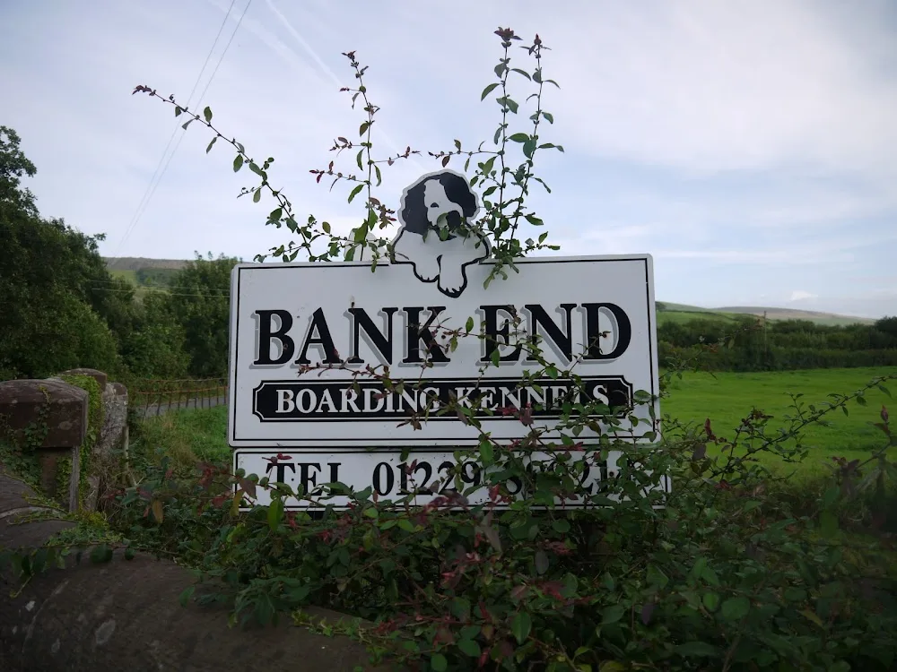 Bank End Boarding Kennels - Crosby Ravensworth pet otel görseli 3