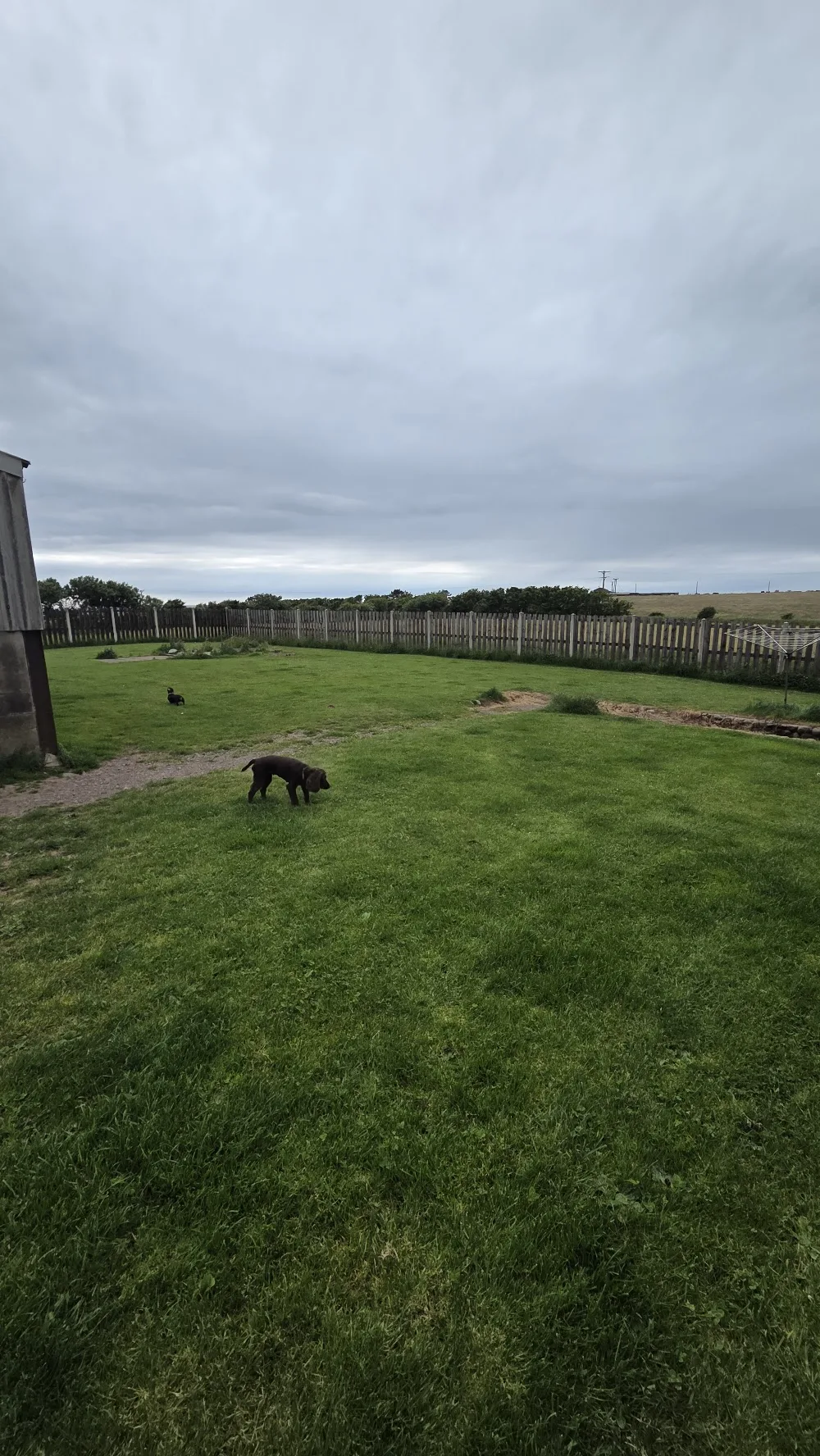 Broadwater Kennels & Cattery - Crosby Ravensworth pet otel görseli 3