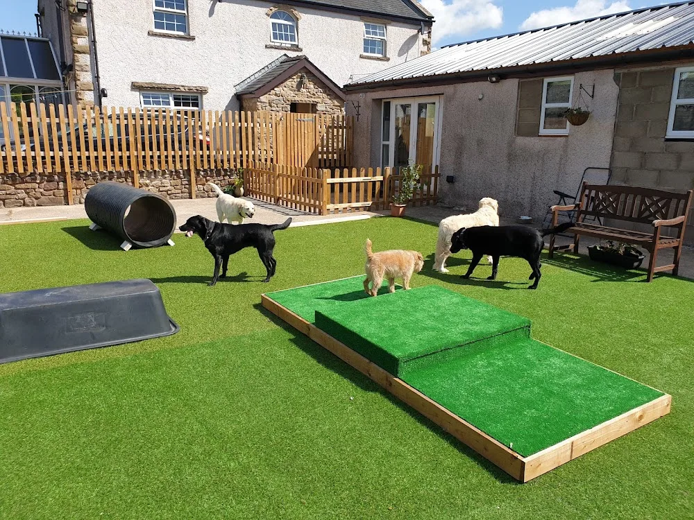 Cherry Tree Kennels - Crosby Ravensworth pet otel görseli 2