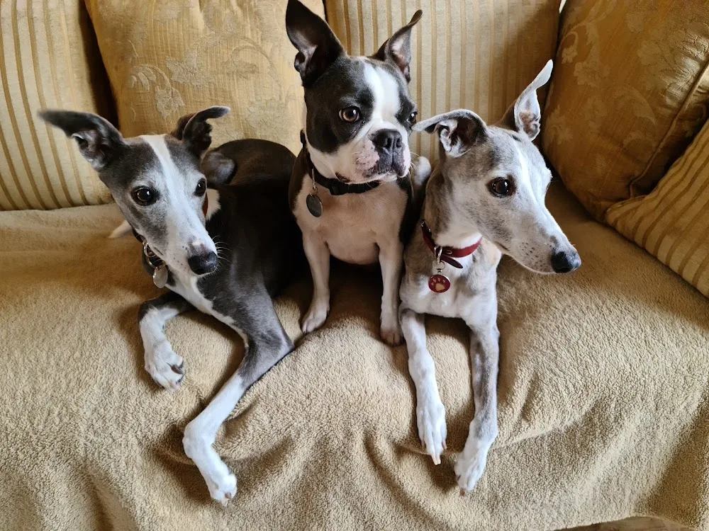 Crossgate Boarding Kennels - Crosby Ravensworth pet otel