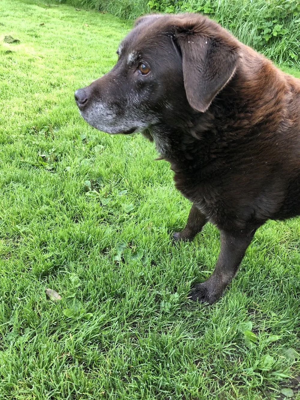 Fingland Pet Hotel - Crosby Ravensworth pet otel