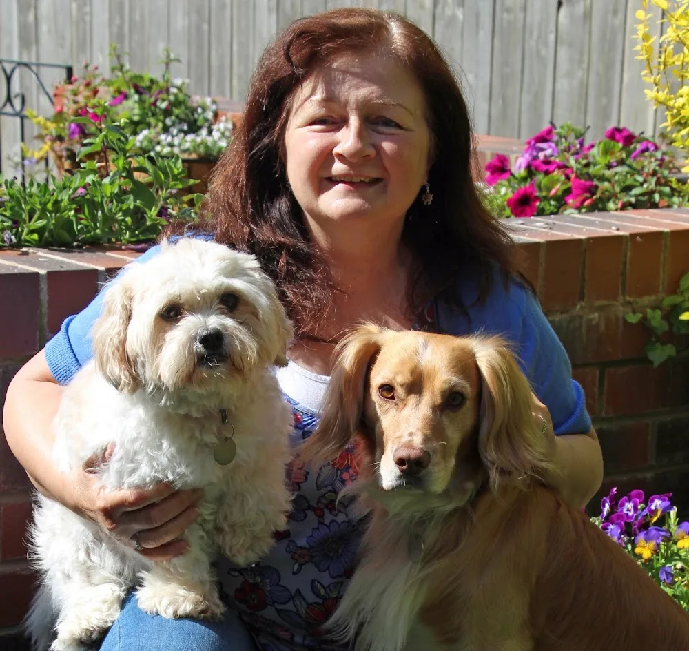 Holidays4Dogs - Crosby Ravensworth pet otel görseli 2