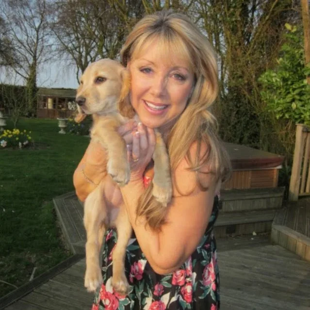 Holidays4Dogs - Crosby Ravensworth pet otel görseli 5