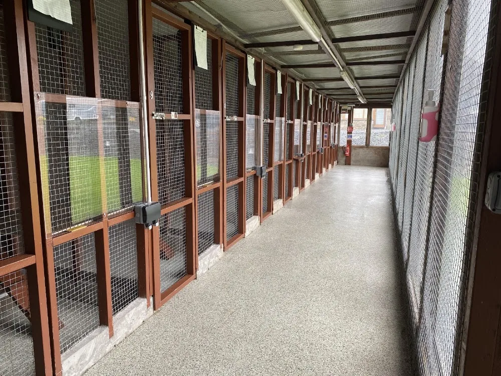 Maidenlands Cattery - Crosby Ravensworth pet otel görseli 2