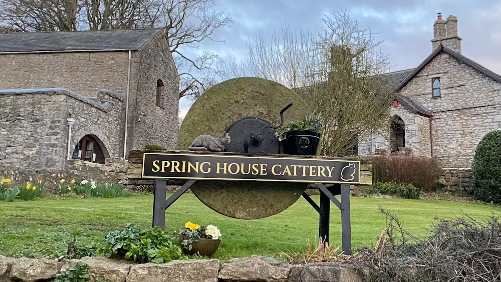 Spring House Cattery, Scales, Ulverston LA120PF ⭐⭐⭐⭐⭐ - Crosby Ravensworth pet otel görseli 2